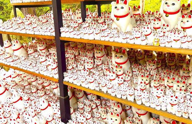 Tokyo Gotokuji Lucky Cat Temple, Shinjuku Cat Cafe & Giant 3D Cat