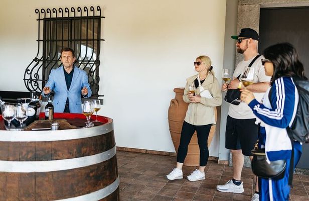 Naples: Mount Vesuvius Wine Tasting and Lunch Experience