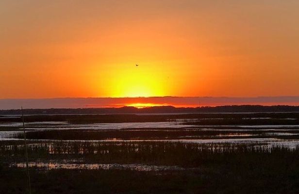 1 Hour Sunset Airboat Tour