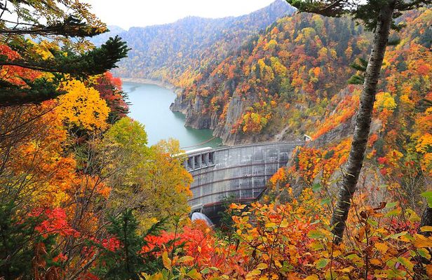 Autumn Tour from Sapporo Hoheikyo Dam and Hoheikyo Onsen