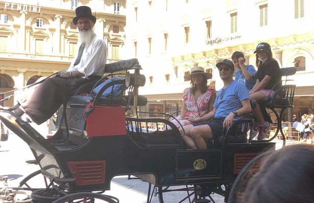 Medieval Carriage Ride with Horses and Local Tour Guide