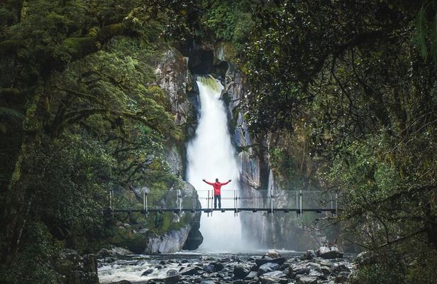 Milford Sound Nature Cruise and Self-Guided Scenic Track Walk