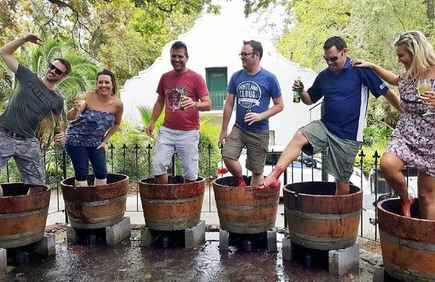 Full Day Wine Tour in Stellenbosch with Afrivista