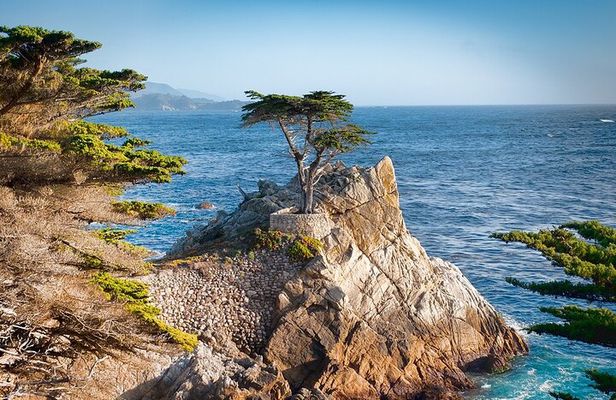 Monterey Peninsula and Carmel by the Sea Small Group Tour