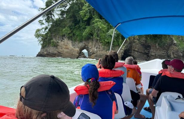 Combo Tour: Whales and Dolphins at Marino Ballena National Park