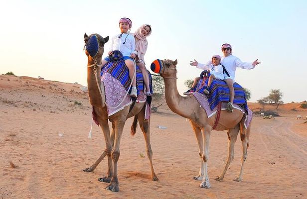 Dubai Desert Quad Bike and High Speed Dune Buggy Adventure