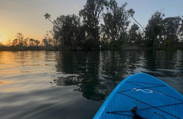 Crystal River Sunrise Manatee Clear Kayak Tour