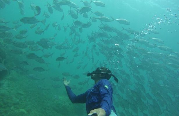 Snorkeling Adventure at Caño Island