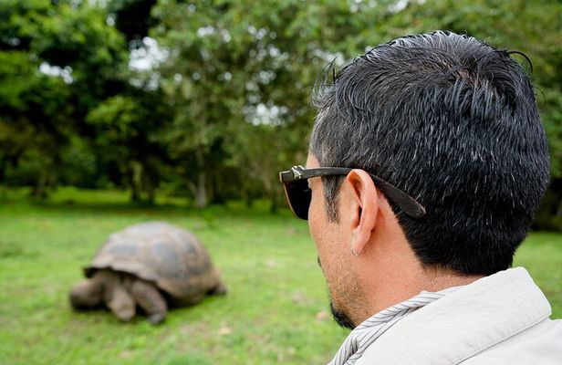 Transfer Baltra to Santa Cruz + Galapagos Tortoise Visit | Shared