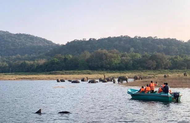 Gal Oya National Park Safari - Boat Adventure from Arugam Bay