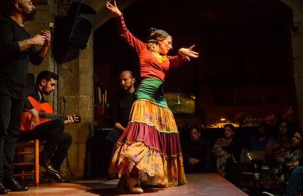 Malaga Gastronomic and Cultural Tour: Tapas, Wine & Flamenco