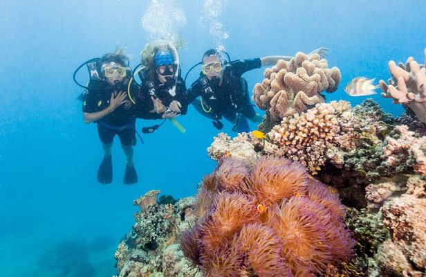 7 Day Brisbane to Cairns Boutique Whitsundays Great Barrier Reef