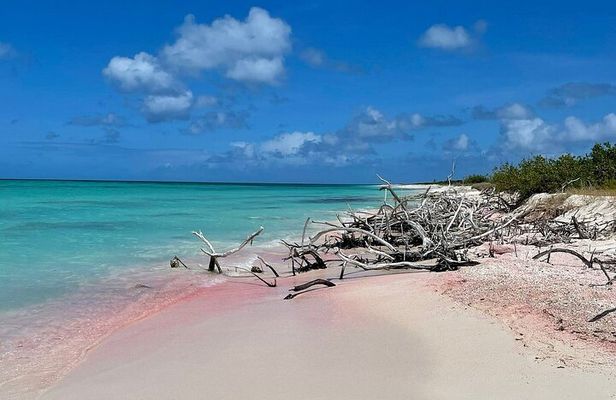 Custom Private Tour of Antigua Explore at Your Own Pace