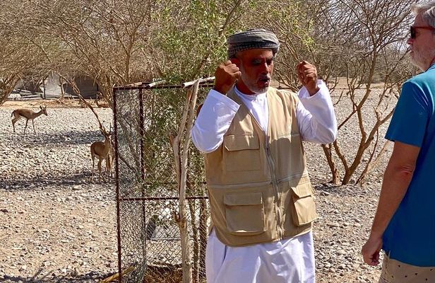 4 Days Experience Oman Nature and Culture with an Omani Guide-4WD