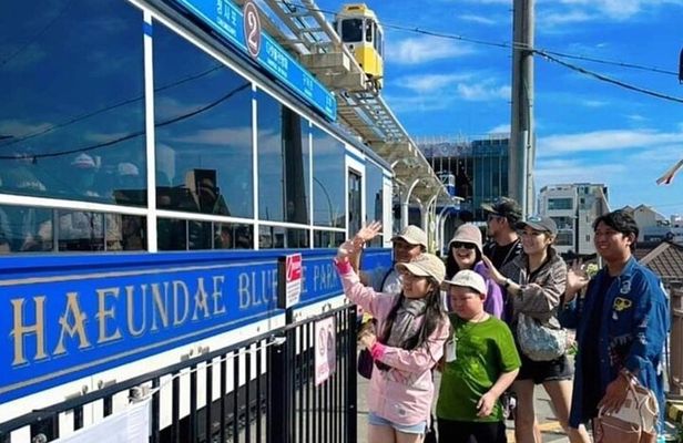 Private Busan Shore Excursion: City Highlights for Cruise Guests