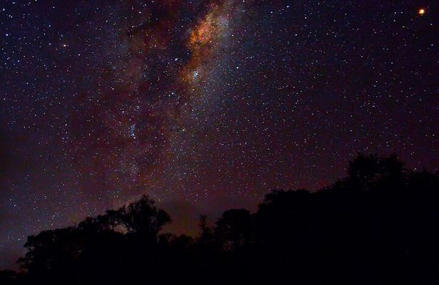 Rainforest Camping in Kudremukh National Park