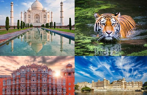 8 Day Delhi Agra Ranthambore Udaipur Jaipur Delhi Tour.