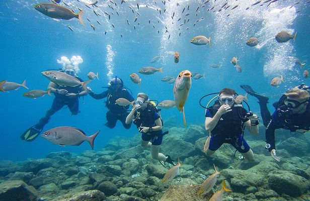 Discover Scuba Diving Adventure in Tenerife
