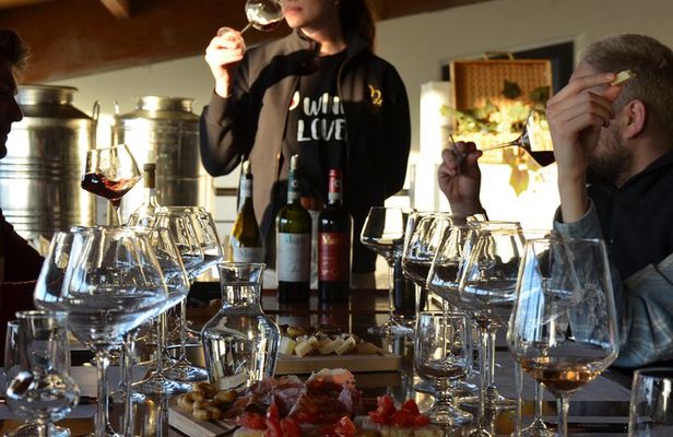 Winery tour and tasting in the Chianti hills