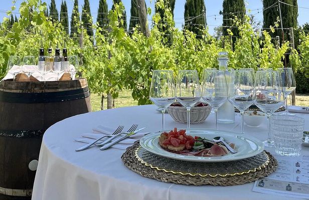 Classic: Tuscan Vineyard Lunch with Wine Tasting