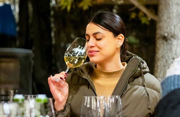 Viña Concha y Toro: Premium Wine Center Tour