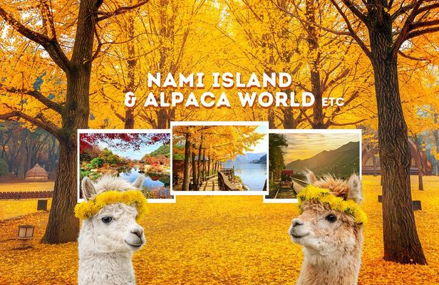 Alpaca World Tour with Nami Island (optional Railbike or Garden)
