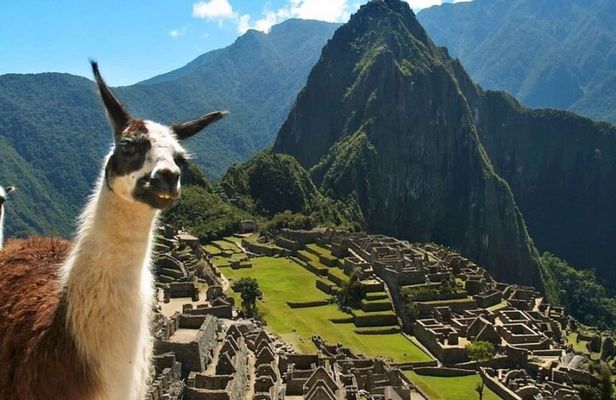 Lares Trek & Short Inca Trail 4-Day Hike to Machu Picchu