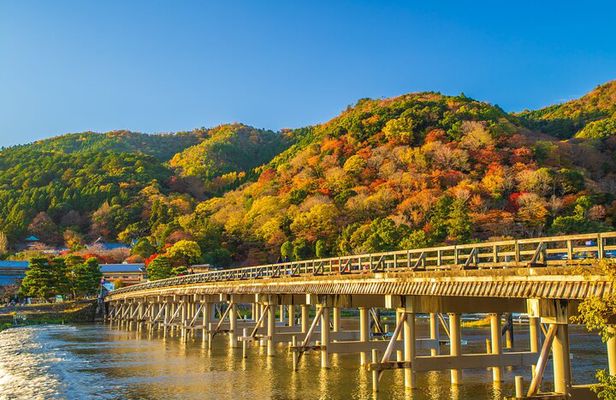 From Osaka or Kyoto: Kyoto and Nara 1-Day Bus Tour