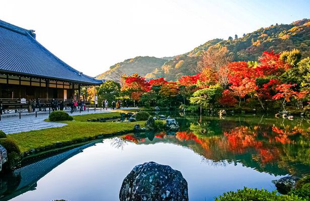 Kyoto tour: 3 Photogenic Sites from Nagoya with Lunch