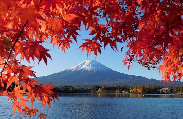 Tokyo: Mt.Fuji & Lake Kawaguchiko 1-Day Bus Tour w/Optional Lunch