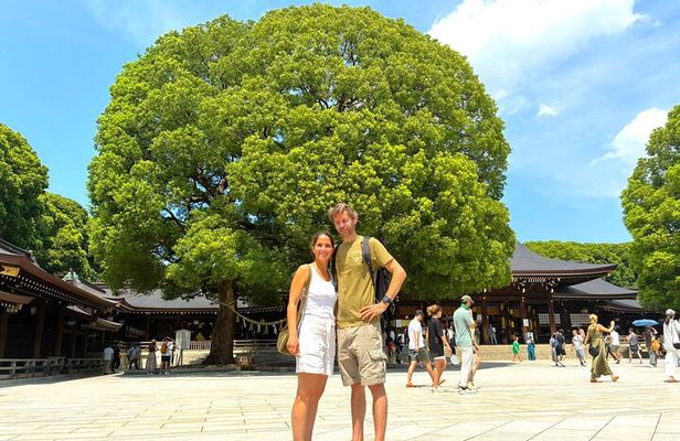 Tokyo: Meiji Jingu Shrine & Inner Garden Private Tour (2h)