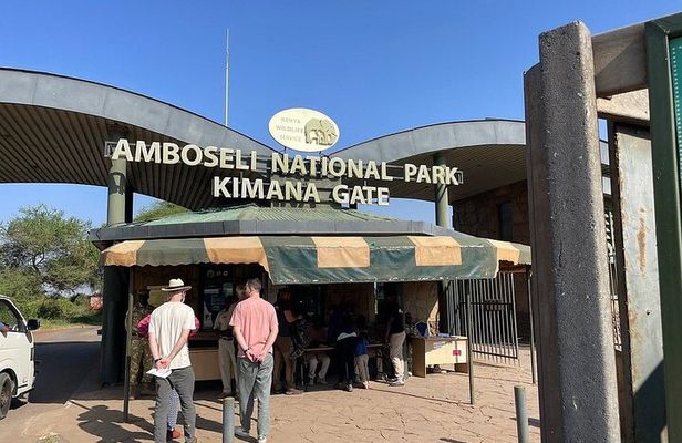 Private Day Safari to Amboseli with Majestic Mt. Kilimanjaro View