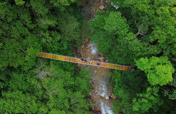 Explore Falls, Sloths and Bridge in Fortuna de Bagaces...