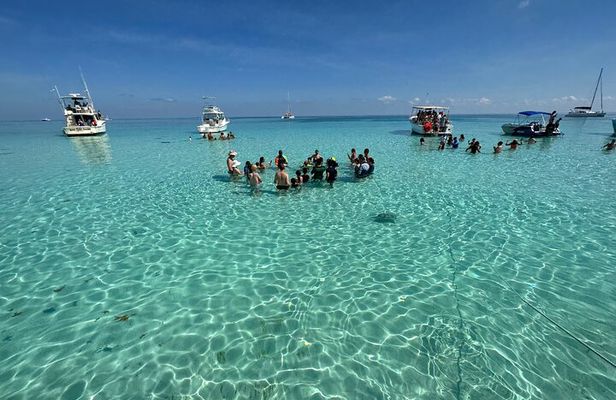 Stingray City and Snorkeling Tour Starfish Point Adventure