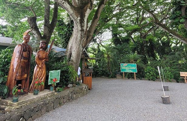 Circle Island 8hr Private Small Group Tour