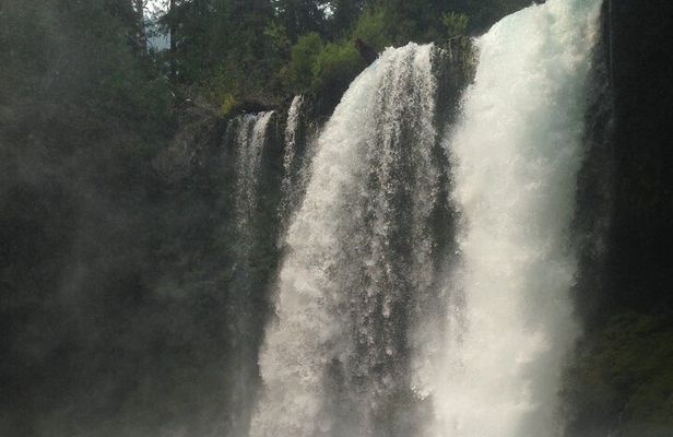 Eugene area Waterfalls & the McKenzie River in a Tesla