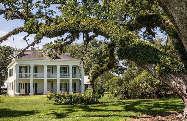 Felicity Plantation Tour