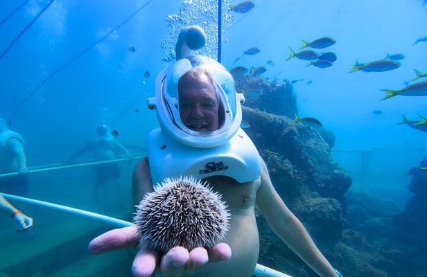 SeaTrek Tour St. Maarten