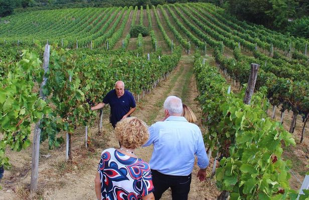 Avellino: Winery Tour with Wine Tasting and Local Foods