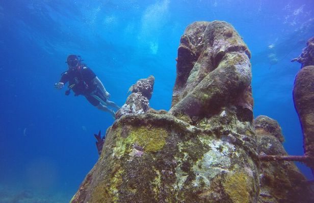 Scuba Dive at Musa Cancun for Certified Divers