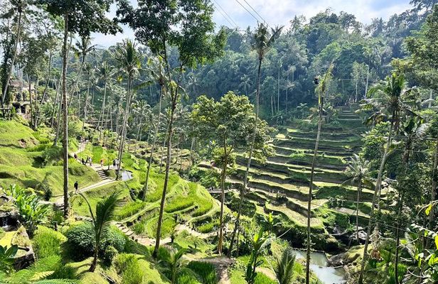 Bali Spiritual: Balinese Healing, Temple & Rice Terrace 