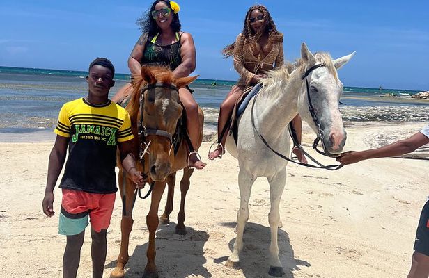Horseback Riding and Ocean Swim from Montego Bay Hotels
