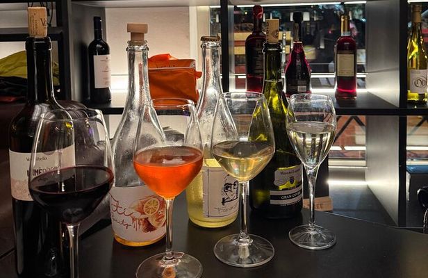 Palermo Rebel Wines Tasting-Local Bites in the City Center