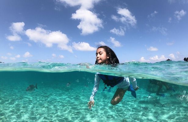 Cancun Speed Boat, Parasailing and Dolphin Beach with Transport