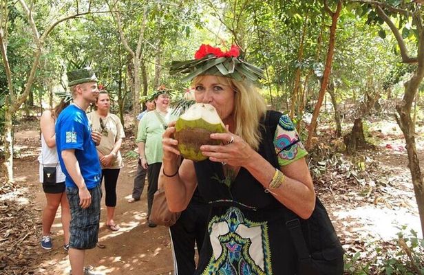 Jozani Forest & Spice Farm Experience With Transfer - Zanzibar