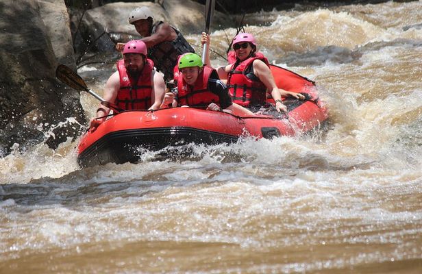 Half Day Elephant care and Whitewater Rafting Adventure