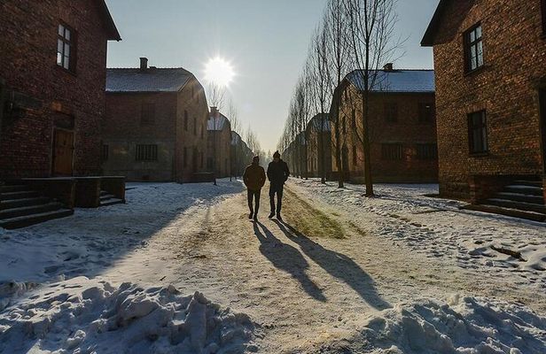 Auschwitz Birkenau and Salt Mine from Krakow