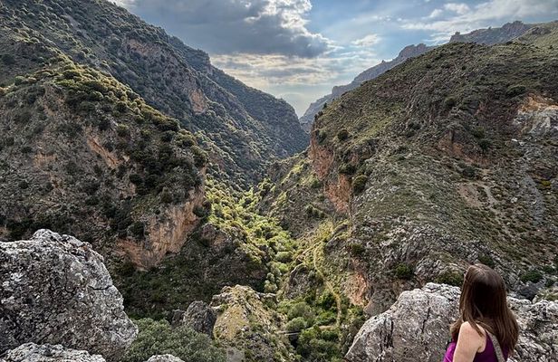 Sierra Nevada Safari – Small Group Tour Up to 2,500 Meters