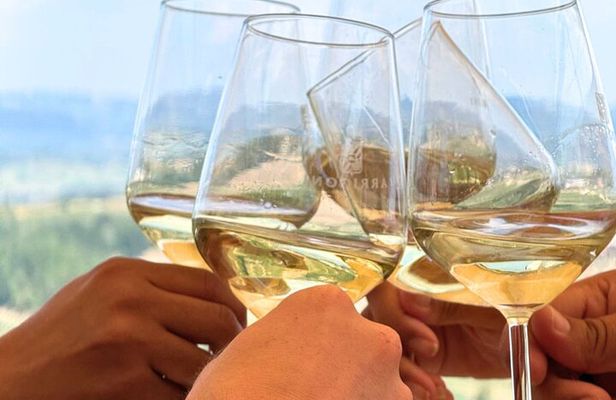 Half-day Chianti Classico Wine tour from Florence - Small Group