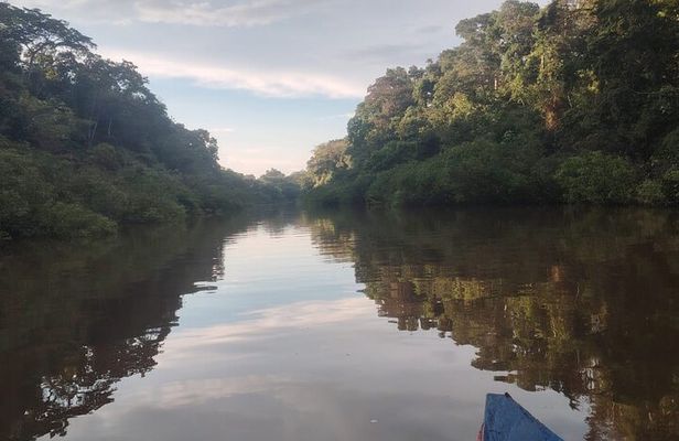 3-Day Amazon Rainforest Tour from Iquitos